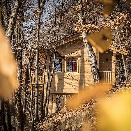 Вілла Il Nido Del Casalot Frassino Екстер'єр фото